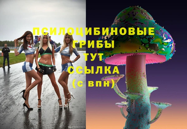 амф Балахна