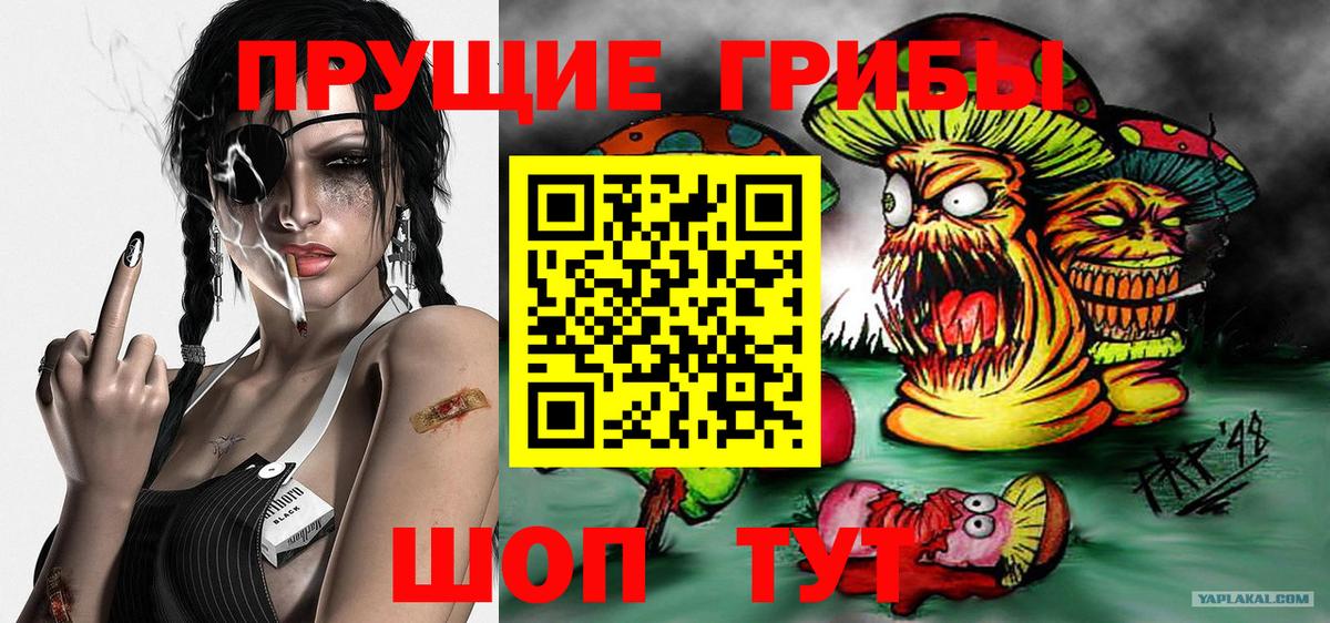 Галлюциногенные грибы Magic Shrooms  Галлюциногенные грибы Cubensis  Вход с VPN  Спасск-Дальний 