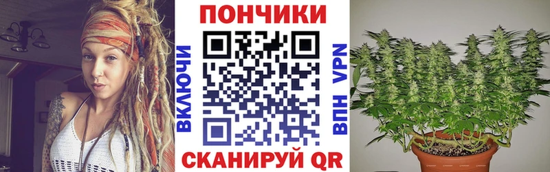 Бошки марихуана конопля  как найти закладки  Спасск-Дальний 